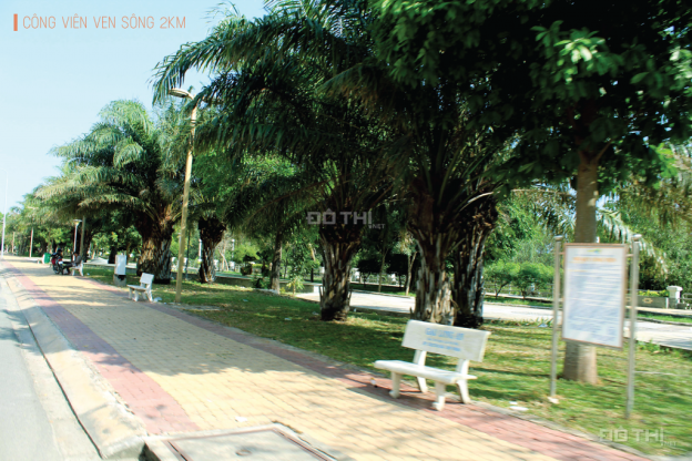 Bán căn hộ chung cư Viva Plaza Nguyễn Lương Bằng nơi an cư lý tưởng tại q7 14567122