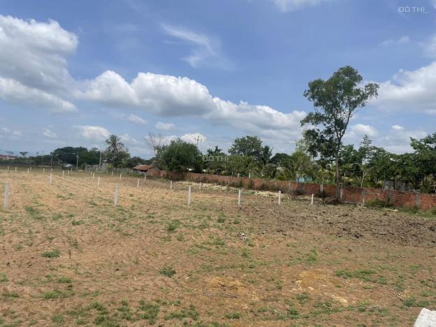 Chính Chủ Bán Nhanh Mảnh Đất Mặt Đường Quốc Lộ 19C 14568183