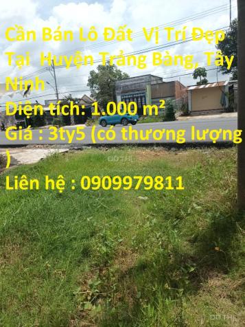 Bán đất tại Xã Gia Lộc, Trảng Bàng, Tây Ninh diện tích 1000m2 14568254