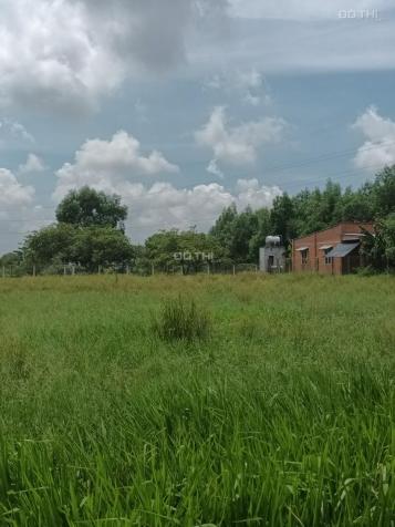 Bán đất tại Xã Gia Lộc, Trảng Bàng, Tây Ninh diện tích 1000m2 14568254