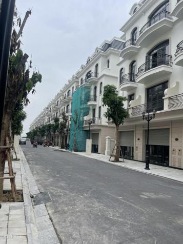 Cho thuê shophouse, nhà liền kề, biệt thự tại Vinhomes Ocean park 2 14568904