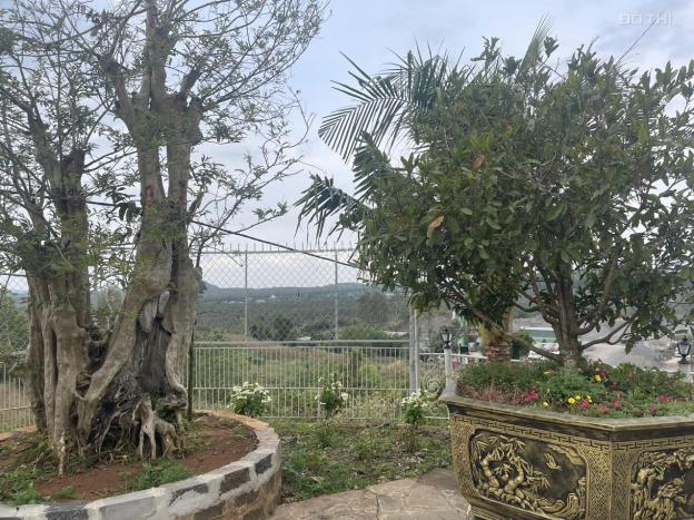 Bán đất tại Xã Hàng Gòn, Long Khánh, Đồng Nai diện tích 19936.9m2 giá 20 Tỷ 14569632