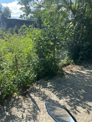 Đất SHR La Thọ 3 ,  Điện Hoà , Điện Bàn Quảng Nam 14570387