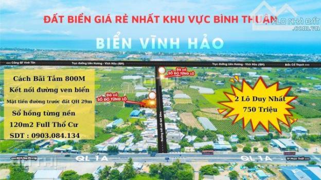 KHU DÂN CƯ PHƯỚC THỂ (VĨNH HẢO BÌNH THUẬN ) 14572312