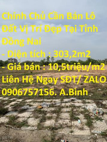 Bán đất tại Xã An Phước, Long Thành, Đồng Nai diện tích 303m2 14573313