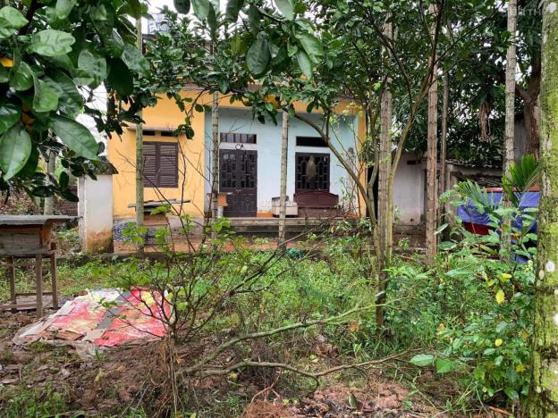 #Đất Bìa Thôn Đoài - Việt Hùng - ĐA. #139m_sổ DT #thực_141m² Giá Siêu Tốt  + Đầu tư chia lô Giá Sin 14574102