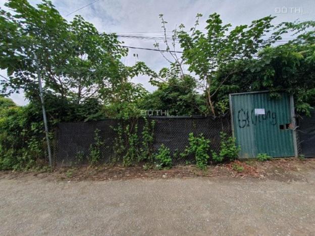 Bán đất ở bãi bồi non An Dương 720m2 làm homestay hoặc nghỉ dưỡng 14577191