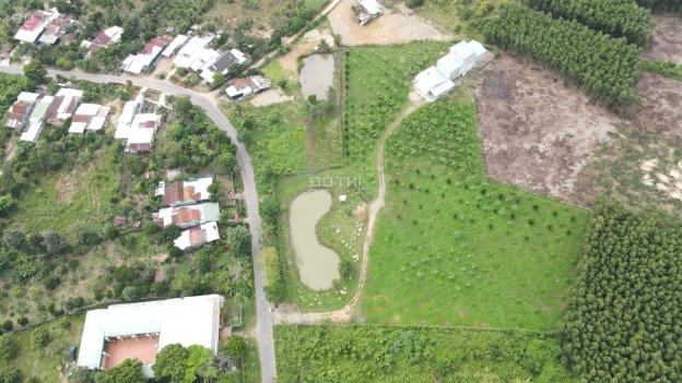 Bán vườn Sầu Riêng 15.000m2 có sẵn nhà yến đã cho khai thác đường Tỉnh Lộ 2 huyện Khánh Vĩnh 14580019