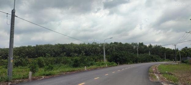 Bán 50 x 167 đất RẺ NHẤT Đường BE 129 - Phú Bình - huyện Tân Phú 160tr/m ngang 14580717