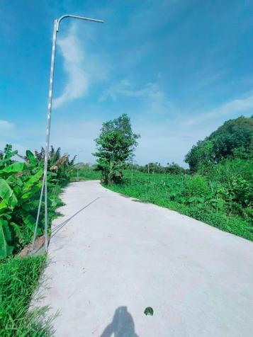 Bán đất nền dự án tại Xã Mỹ Khánh, Phong Điền, Cần Thơ diện tích 647m2 14583165