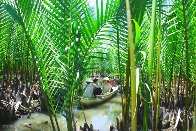Bán lô góc mặt tiền đường Mỹ Trà Mỹ Khê ngay Khu du lịch sinh thái rừng dừa nước Tịnh Khê 14584620