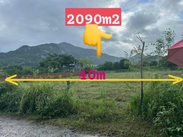 Bán đất tại Xã Suối Tiên, Diên Khánh, Khánh Hòa diện tích 2090m2 giá 1.6Triệu/m2 14586242