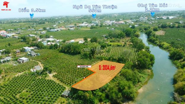 Bán Gấp 2034m mặt tiền Sông Phan, Hàm Thuận Nam, Bình Thuận. Giá NGỢp, sổ riêng 14586817