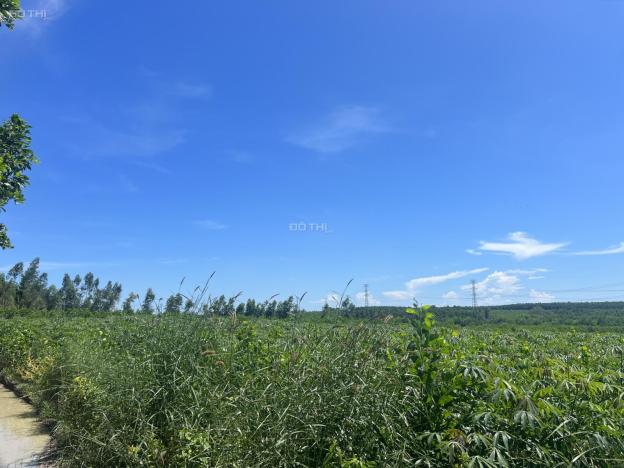 Bán 4.2 mẫu đất GIÁ RẺ Tân Xuân - Huyện Hàm Tân 1.1 tỷ/ mẫu, gần KDC 14586956