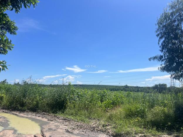 Bán 4.2 mẫu đất GIÁ RẺ Tân Xuân - Huyện Hàm Tân 1.1 tỷ/ mẫu, gần KDC 14586956