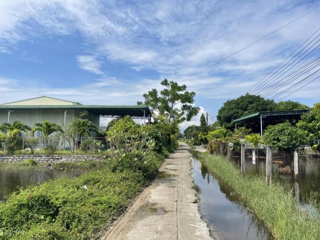 Bán 87m2 đất ONT Tân Phước - TX LaGi GIẢM 50% Chỉ còn 350 triệu, đường bê tông 14586967