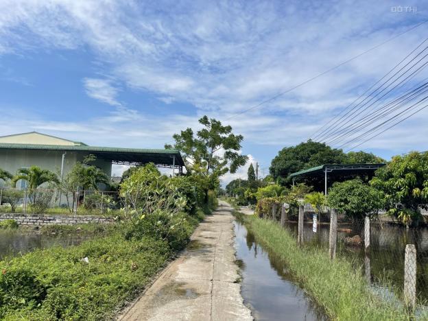 Bán 87m2 đất ONT Tân Phước - TX LaGi GIẢM 50% Chỉ còn 350 triệu, đường bê tông 14586967