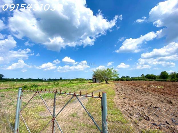 Cần bán 8.326 m² đất giá đầu tư tại Xã Hòa Hiệp, Xuyên Mộc, View Suối Mát lành 14587853