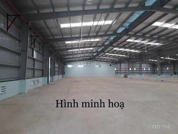 NCC - Cho thuê kho mới xây MT đường 15m Bùi Tá Hán, Nam Việt Á 14589469