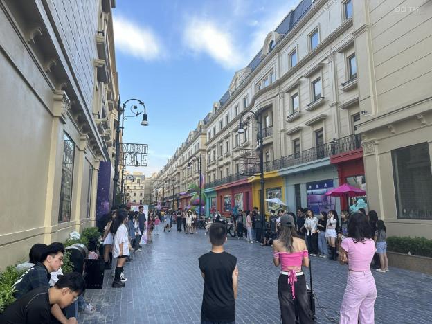 Bán shophouse nhà phố kinh doanh Rue De Charme 214 Nguyễn Xiển - đường Lương Thế Vinh nối kéo dài 14589677