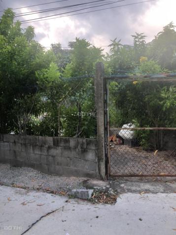 🔵 Chính Chủ Bán Gấp 6x38 Sẵn 60 ONT Tân Phước Lagi Sát Biển Giá Ngộp 14590884