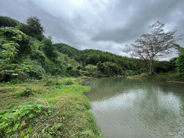 Bán 11.500m2 view Sông Khế làm nhà vườn, homestay giá rẻ gần trung tâm huyện LH 0788.558.552 14591586