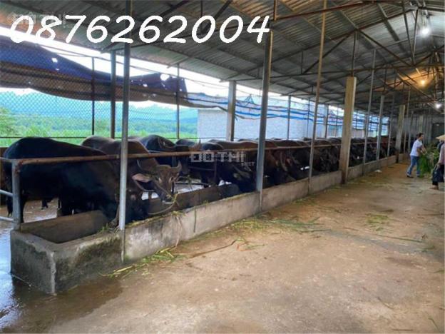 Chính chủ cần bán đất trang trại, khu nghỉ dưỡng 70.000m2 tại Lạc Thủy, Hòa Bình - Giá 1X tỷ 14592756