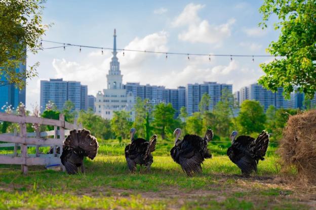 Studio 980 triệu; 2 phòng ngủ 1,6 tỷ; 3PN 2,4 tỷ; Vinhomes Ocean Park 14593658