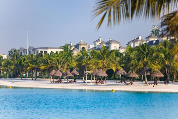 Studio 980 triệu; 2 phòng ngủ 1,6 tỷ; 3PN 2,4 tỷ; Vinhomes Ocean Park 14593658