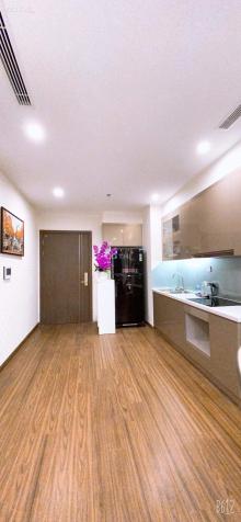 Cho thuê chung cư Home City, 177 Trung Kính, 2PN 3PN cực đẹp 14594931