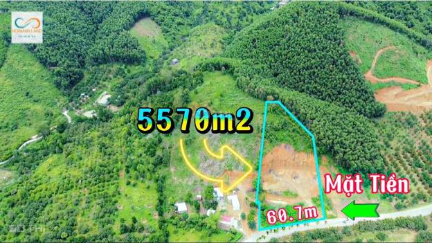Bán đất quy hoạch full thổ cư 5.500m2 mặt tiền ngang 60m đường HL62 xã Khánh Phú, Khánh Vĩnh giá rẻ 14598751