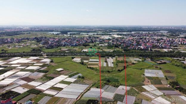 Bán đất đấu giá X5 Trung Oai Đông Anh gần dự án Công Viên Kim Quy giá rẻ năm 2023 14598780