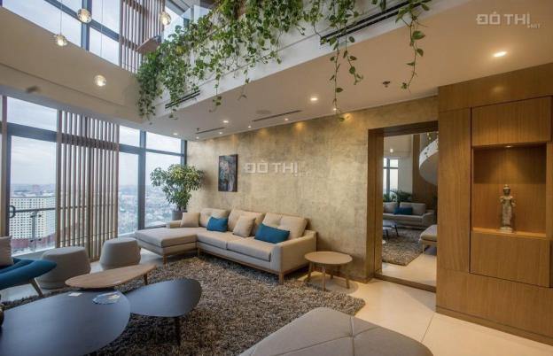 BÁN CĂN PENTHOUSE CITY GARDEN TẦNG CAO DT 325M2, 4PN 14598931