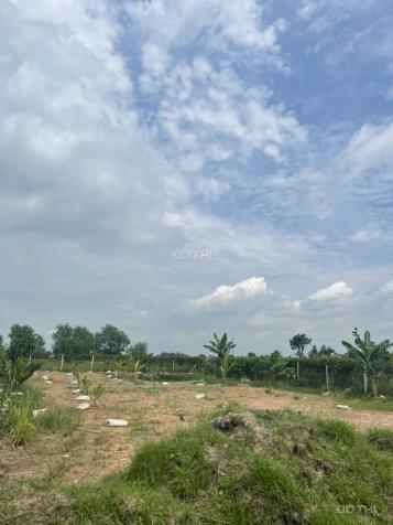 Cần bán mảnh vườn 560m ngay nhà tình thương Nhân Nghĩa,xã Trung An,Củ Chi 14598965