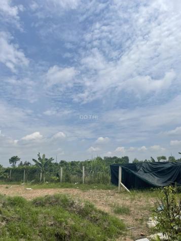 Cần bán mảnh vườn 560m ngay nhà tình thương Nhân Nghĩa,xã Trung An,Củ Chi 14598965