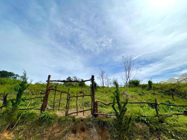 CHÍNH CHỦ BÁN RẺ LÔ ĐẤT 952m2 xã Đạ Sar, Lạc Dương, Lâm Đồng chỉ 2 tỷ. LH 0903187589 14601181