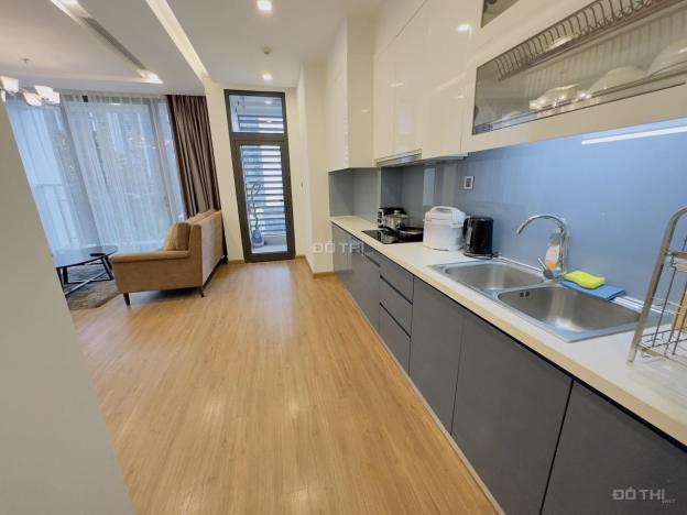 Cho thuê căn hộ Vinhomes Metropolis Liễu Giai, 2PN, 2WC, đủ đồ, nhà mới, sạch đẹp 14602331