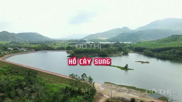 Bán đất view đẹp 13.000m2 xã Diên Tân gần 2 khu du lịch Hồ Cây Sung và Làng Nhỏ giá rẻ 14602538