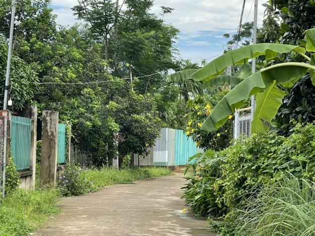 Đất chính chủ ngay khu dân cư đông đúc giá chỉ 589tr cho 100m2 full thổ cư 14605260