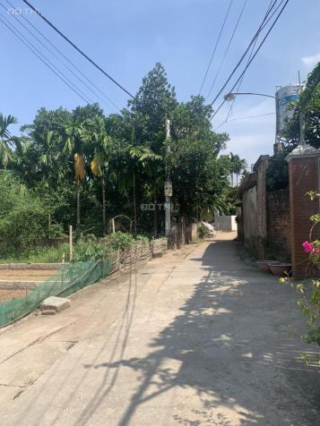 Chính chủ cần tiền bán mảnh đất Phúc Hòa - Phúc Thọ 14606086