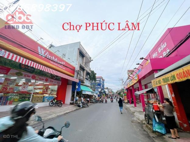 Bán nhà phố tân cổ điển tuyệt đẹp gần chợ Phúc Lâm cầu sập P. Hố Nai TP. Biên Hoà 14613653