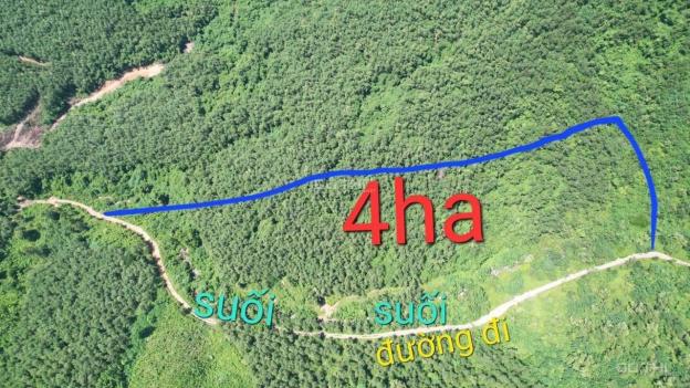 Bán đất có Suối quanh năm rộng 4 hecta giá chỉ 750tr xã Ninh Tây, Ninh Hoà LH 0788.558.552 14615719