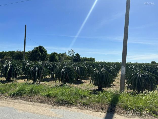 🔵 Siêu Hót 14,27x85 Mai Thúc Loan Tân Hải Tx Lagi Giá Đầu Tư 14617900