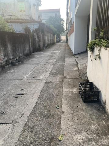 Bán 68m đất Thái Bình Mai Lâm Đông Anh Hà Nội , đường ô tô tránh 14592625