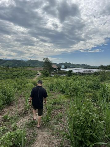 Bán đất 41.000m2 làm nhà vườn, nhà kính, trang trại chăn nuôi xã Khánh Nam, Khánh Vĩnh giá rẻ 14626781