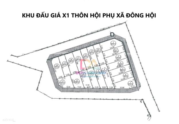 Bán đất đấu giá X1 Hội Phụ Đông Hội Đông Anh - Lô góc đường 25m 14627250