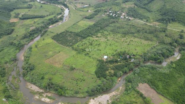 Bán vườn trái cây làm du lịch sinh thái giáp Sông hơn 1km rộng 15 hecta huyện Khánh Vĩnh, Khánh Hoà 14630079