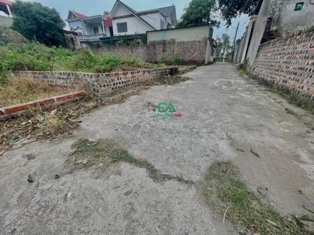 Bán đất Đông Anh 66m2 sổ đỏ chính chủ giá chỉ 2,x tỷ năm 2023 14632160