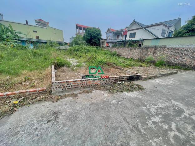 Bán đất Đông Anh 66m2 sổ đỏ chính chủ giá chỉ 2,x tỷ năm 2023 14632160