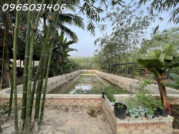Cho thuê nhà vườn 1800m giá rẻ tại Ấp Long Hưng, Xã Long Nguyên, Huyện Bàu Bàng, Bình Dương. 14634219